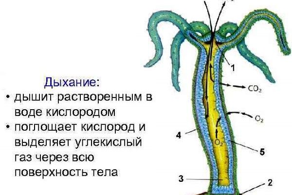 Вход в кракен чтобы купить меф