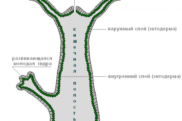 Kraken ссылка kraken014 com